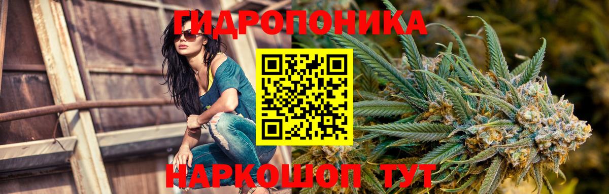 Марихуана OG Kush Хасавюрт